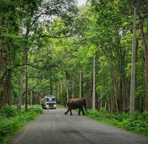 Bandipur National Park