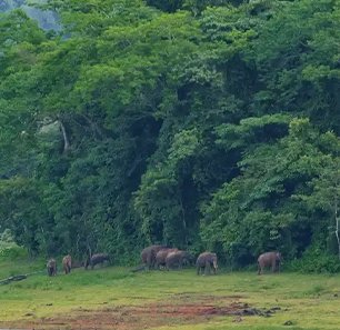 Muthanga Wildlife Sanctuary