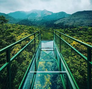Wayanad Glass Bridge